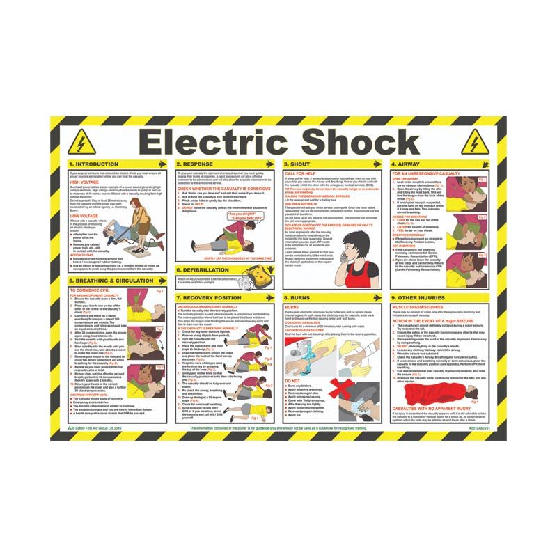 Sign Workplace Safety Chart - Electric Shock 590x420