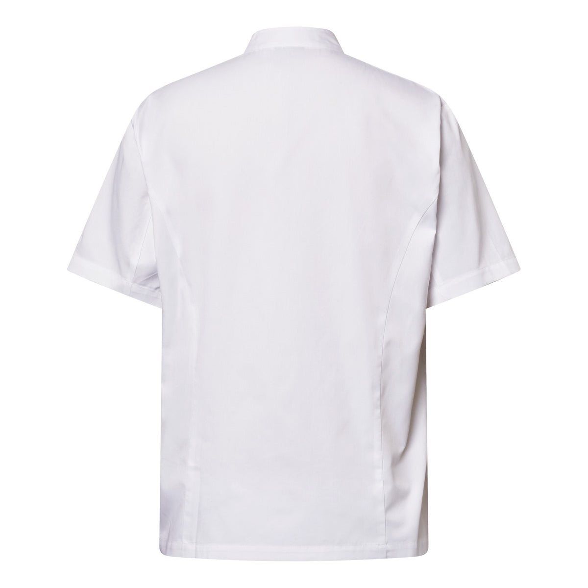 Chef Jacket with Press Studs SS - CJ052