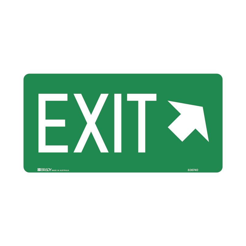 Sign (Emergency) Exit (Right Arrow Up) luMM 350x180