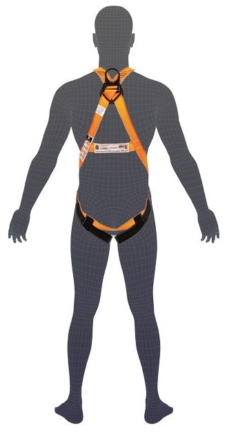 Linq Harness Essential QR Buckle Standard (M-L)