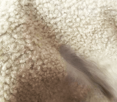 Mic Designs Wool Slinkskin Hard Hat Liner