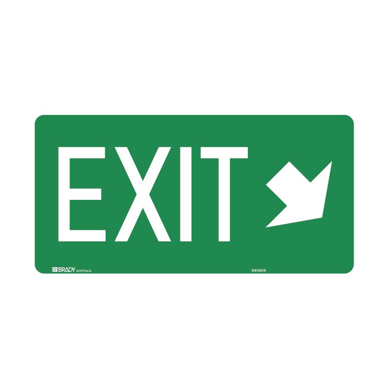 Sign (Emergency) Exit (Right Arrow Down) luMM 350x180
